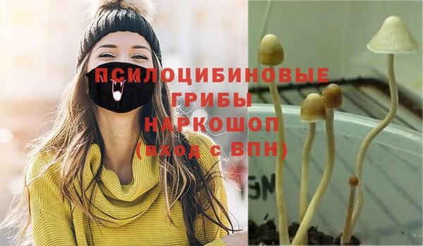 2c-b Алексин
