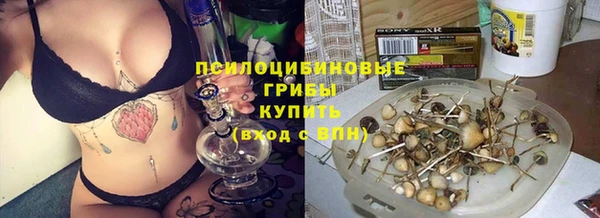 трава Алзамай