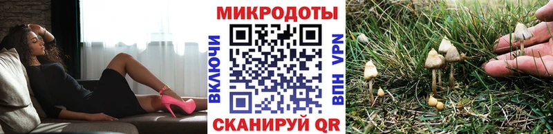 Галлюциногенные грибы Psilocybine cubensis Суджа