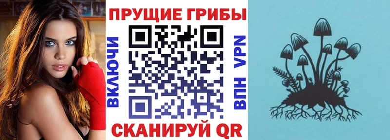 Галлюциногенные грибы Magic Shrooms  Суджа 
